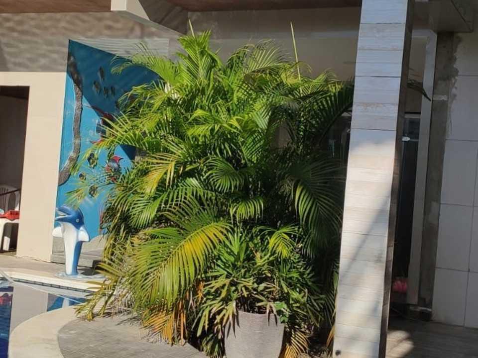 Hotéis Prospar-Pousada Sol da Manhã Maragogi Exterior foto